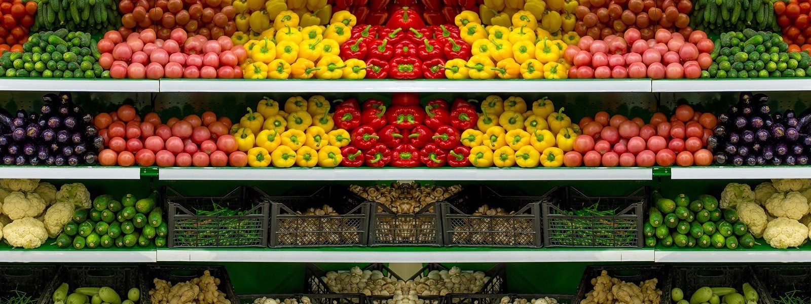 adobestock_108194535 adobestock_108194535